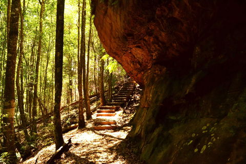 Cave Creek Walking Track - Holiday Adelaide 1