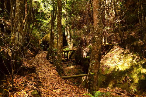 Cave Creek Walking Track - Holiday Adelaide 2