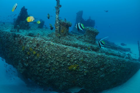 Curtin Artificial Reef Dive Site - Holiday Adelaide 1