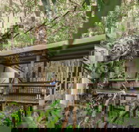 Daisy Hill Koala Centre - Holiday Adelaide