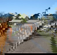 Darkes Forest Riding Ranch - Holiday Adelaide