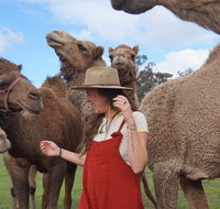 DromeDairy Body and Skin - Holiday Adelaide