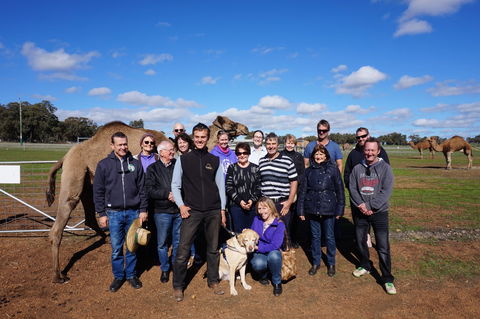 DromeDairy Body And Skin - Holiday Adelaide 1