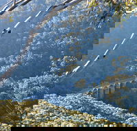 Forest Walk to Sublime Point Track - Holiday Adelaide