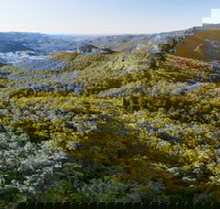 Gold Coast Hinterland Great Walk - Holiday Adelaide