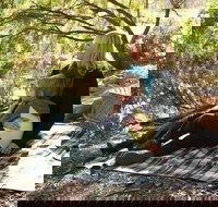 Haig Street Quarry Bushland Reserve Trails - Holiday Adelaide