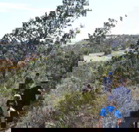 Kinchina Conservation Park - Holiday Adelaide