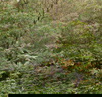 Lind National Park - Holiday Adelaide