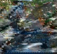 Mackay Regional Botanic Gardens - Holiday Adelaide