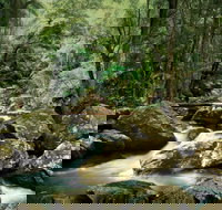 Maleny - Holiday Adelaide