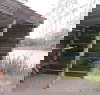 Martin Bend Wetland and Walking Trail - Holiday Adelaide