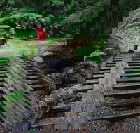 Montezuma Falls - Holiday Adelaide