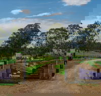 Moorebank Vineyard - Holiday Adelaide