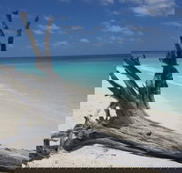 North West Island - Holiday Adelaide