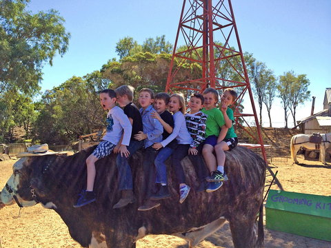 Outback Stockman's Show - Holiday Adelaide 1