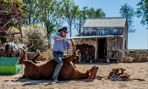 Outback Stockman's Show - Holiday Adelaide 2