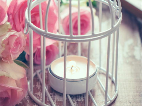 Passionfish Candles - Holiday Adelaide 1