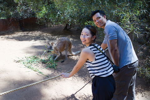 Perth Zoo - Holiday Adelaide 2