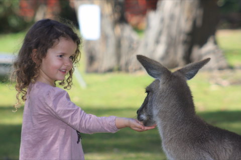 Potoroo Palace Native Animal Sanctuary - Holiday Adelaide 1