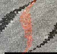 Red Poles Art Gallery