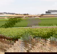 Smidge Wines Tasting Room