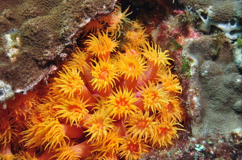 Sunshine Reef - Holiday Adelaide 1