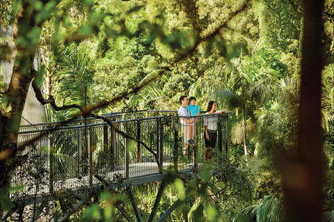 Tamborine Mountain - Holiday Adelaide 0