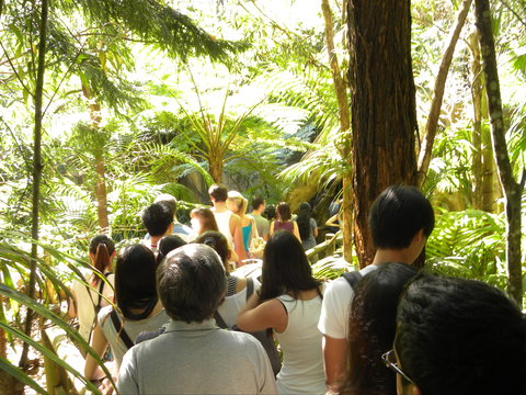 Tamborine Mountain Glow Worm Tours - Holiday Adelaide 1