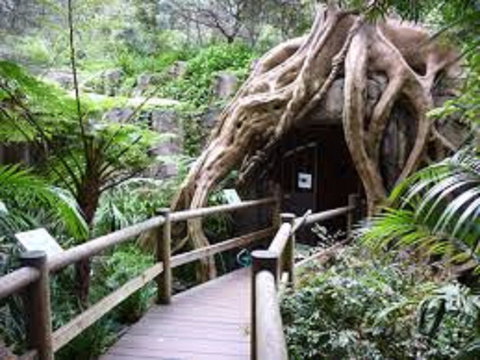 Tamborine Mountain Glow Worm Tours - Holiday Adelaide 2