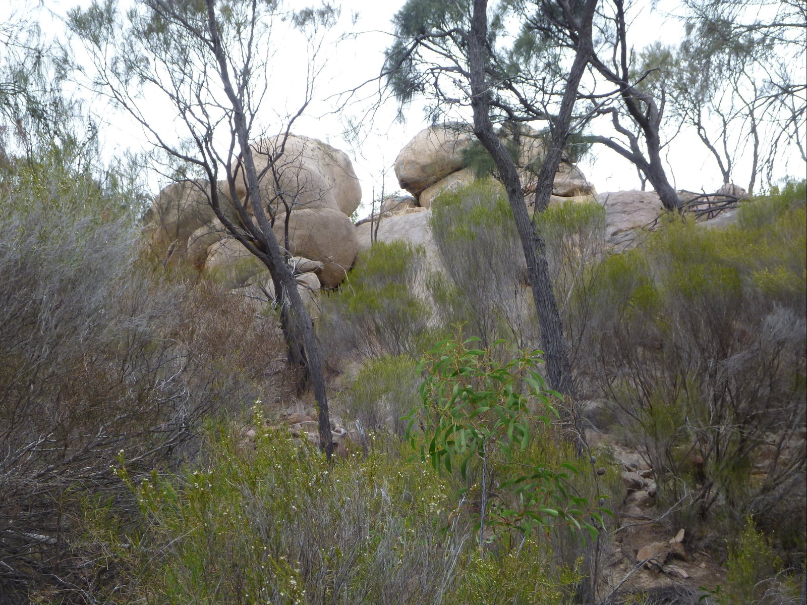 Colebatch SA Holiday Adelaide