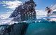 Whale Watching - thumb 0