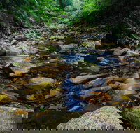 Willi Willi National Park - Holiday Adelaide