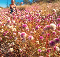 Wineries and Wildflowers - Holiday Adelaide