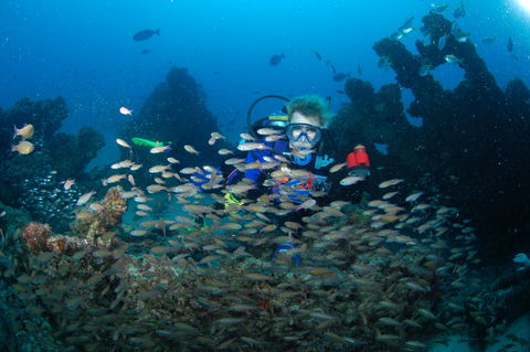 Aarhus Dive Site - Holiday Adelaide 0