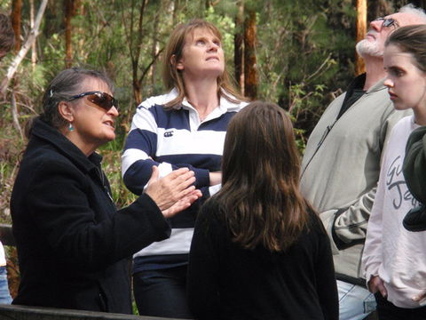 Ancient Empire Walk, Valley Of The Giants - Holiday Adelaide 1