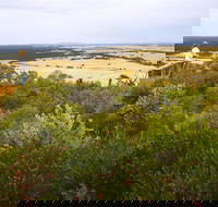 Archer Drive Scenic Drive and Lookout - Holiday Adelaide