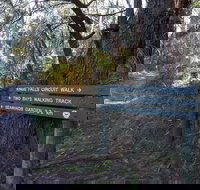 Arthurs Seat to Kings Falls Walk - Holiday Adelaide