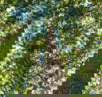 Big Sky National Parks - Holiday Adelaide