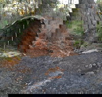 Bindjareb Cultural Park - Holiday Adelaide