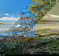 Black Oaks Picnic Area - Holiday Adelaide