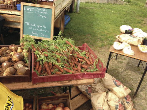 Burnie Farmers Market - Holiday Adelaide 0