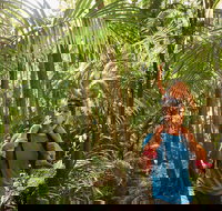 Canungra - Holiday Adelaide