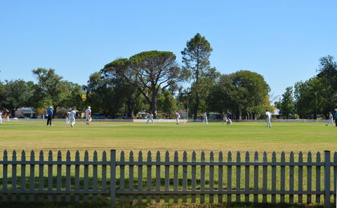 Cootamundra Cricketing Exploration - Holiday Adelaide 0