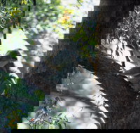 Daisy Hill - Holiday Adelaide