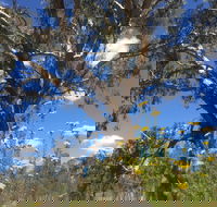 Euroa Arboretum - Holiday Adelaide