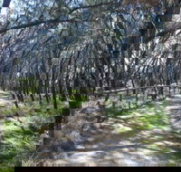 Federation Walk - Holiday Adelaide