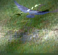 Germein Reserve - Holiday Adelaide