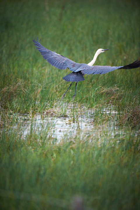 Germein Reserve - Holiday Adelaide 0