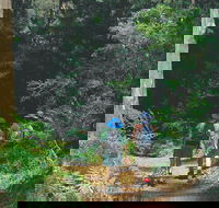 Gloucester National Park - Holiday Adelaide