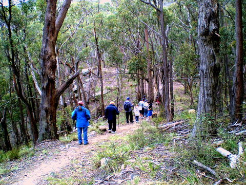Greater Blue Mountains Heritage Trail - Holiday Adelaide 2